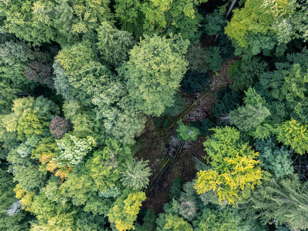 ZD250916101653-2-HDR | default