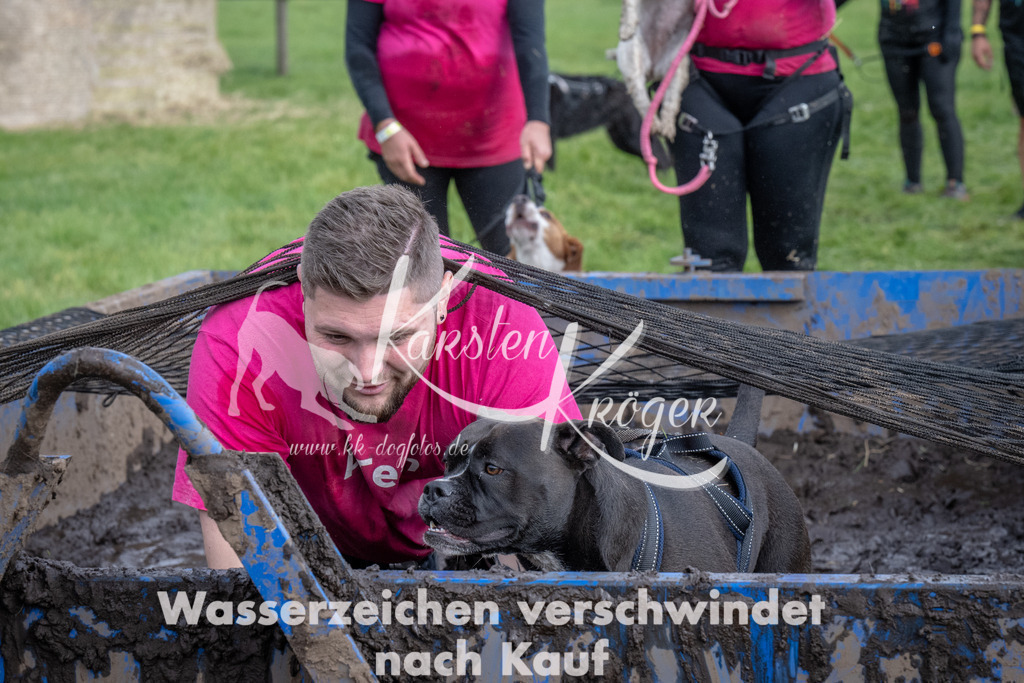 1417_ZZ91876 | kk-dogfotos