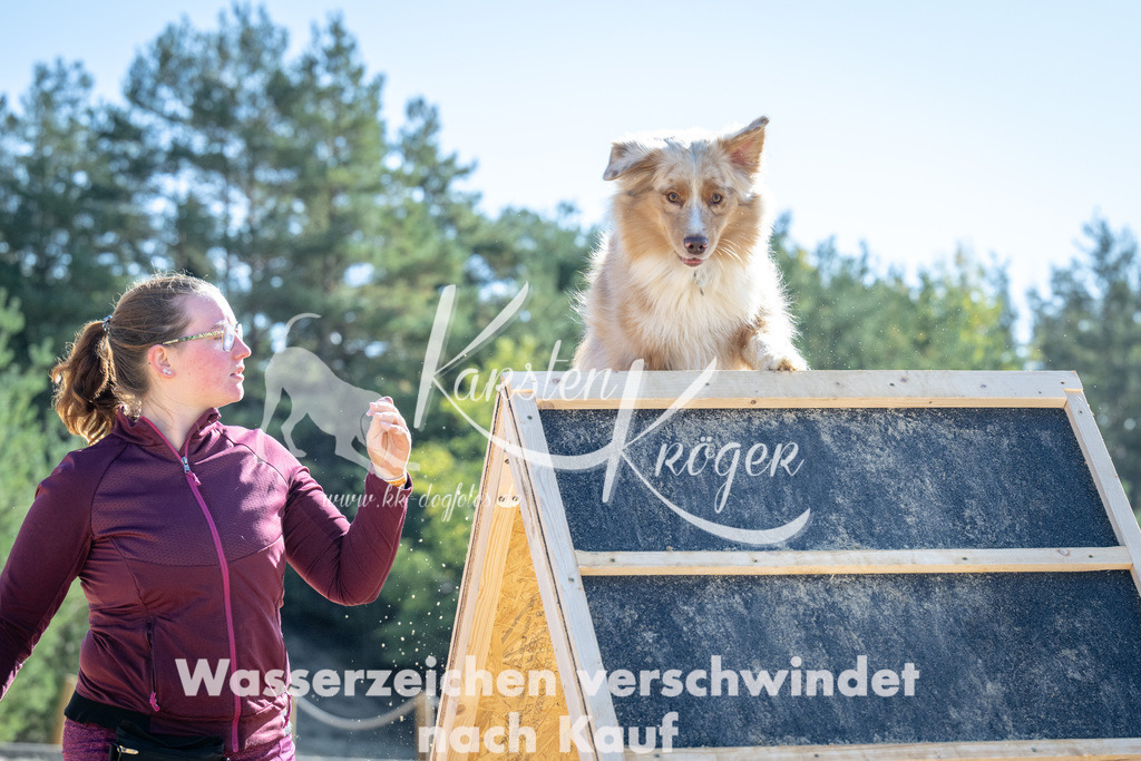 1218_ZZ92775-2 | kk-dogfotos