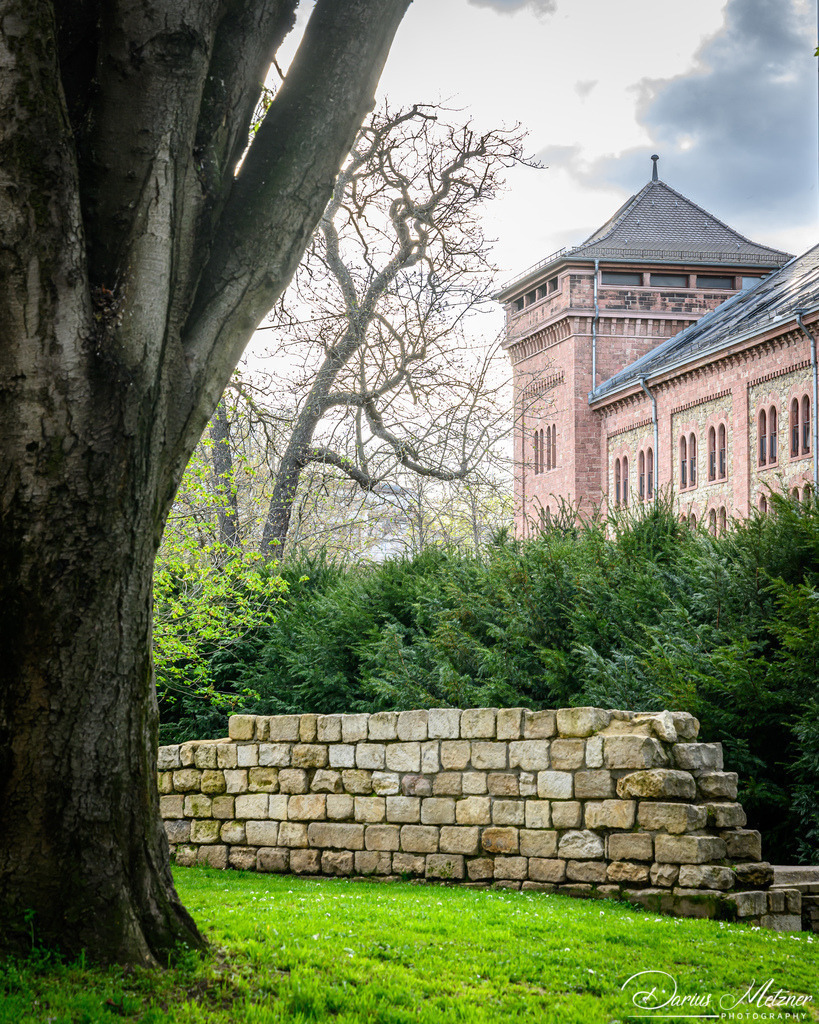 Schillerplatz in Mainz | Der Schillerplatz in Mainz