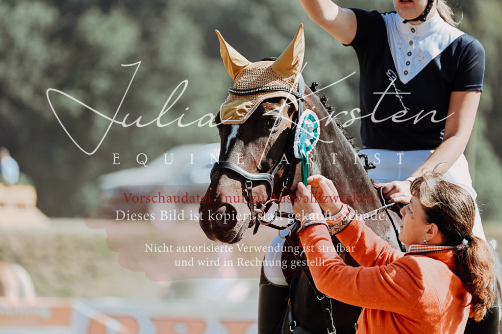 DSC_0132 | Pferde- und Turnierfotografie in Westsachsen. Pferdeportraits, Auftragszeichnungen und intuitive Kunst.