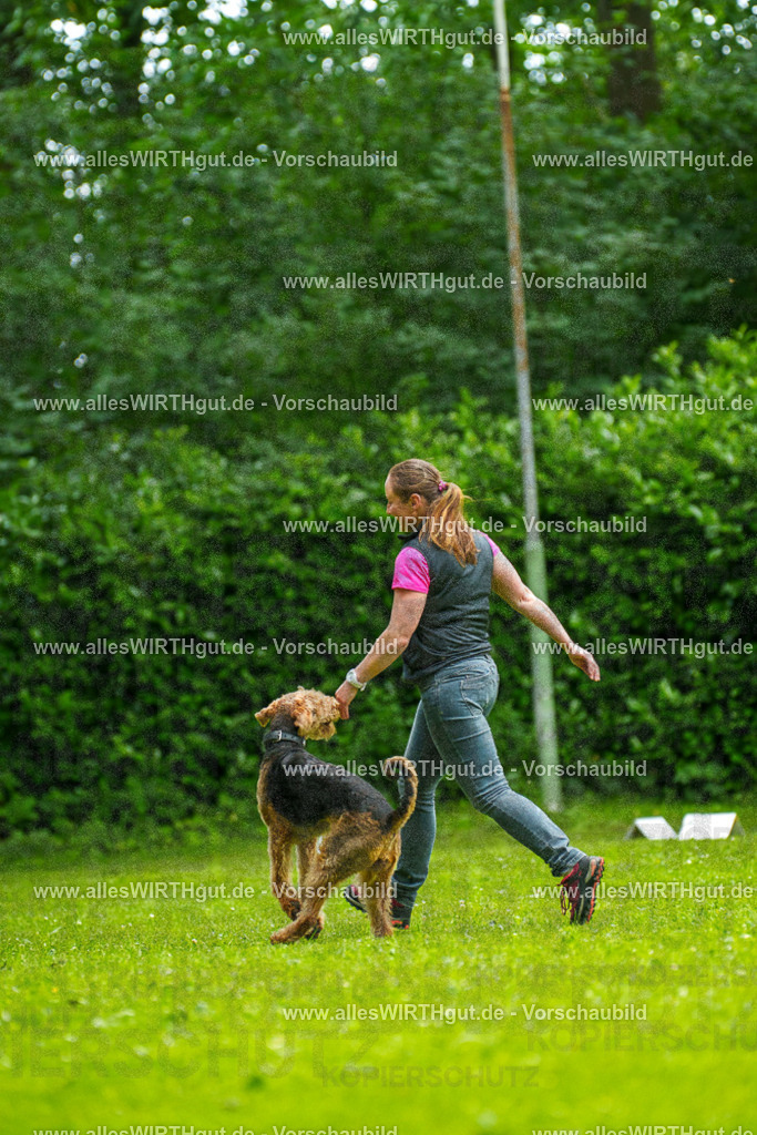 @allesWIRTHgut_Tierfotografie - www.allesWIRTHgut.de - 124108-7R509321 | Professionelle Tierfotografie in Mönchengladbach von Daniel Wirth (allesWIRTHgut). Liebevolle & natürliche Bilder von Hunden & Katzen für unvergessliche Erinnerungen.