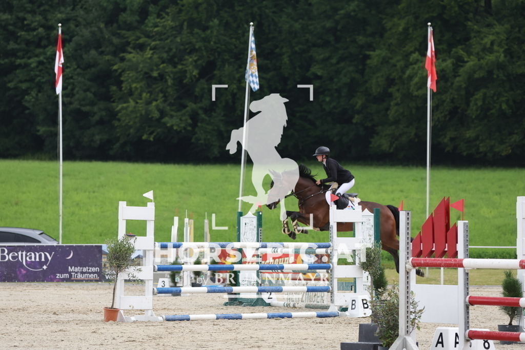 0P6A4139 | Willkommen bei Brunnmayr - Design & Fotografie – Ihrem Spezialisten für Reitturniere und Pferdeveranstaltungen in Oberösterreich, Salzburg und Bayern! Seit über 17 Jahren sind wir leidenschaftlich dabei.