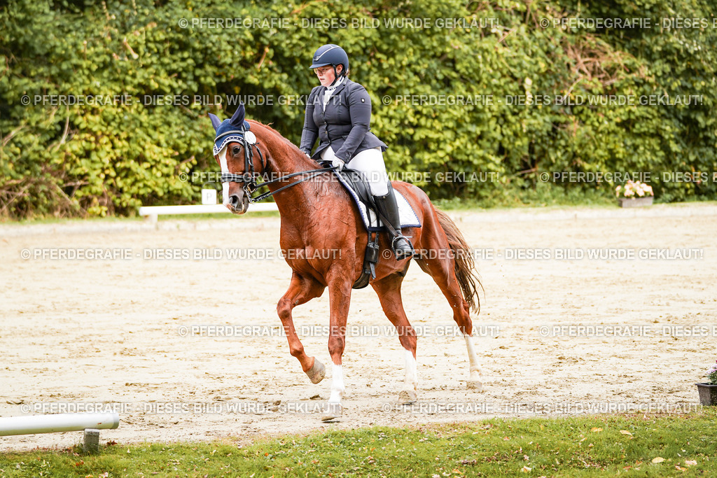 DSC03258 | Pferdegrafie