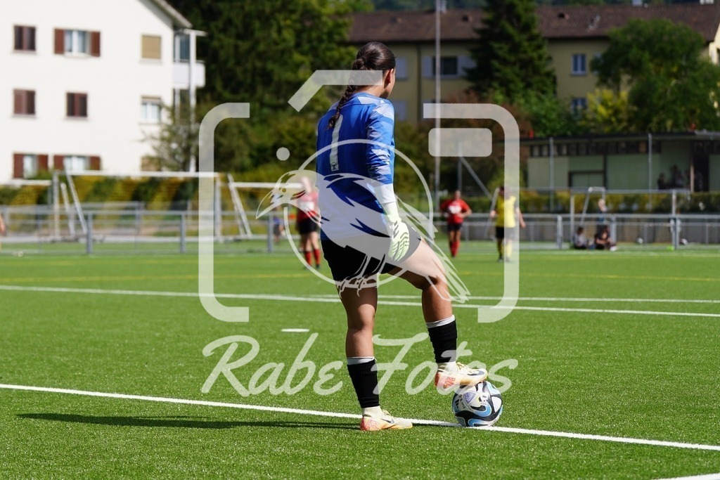 SON08550 | rabefotos