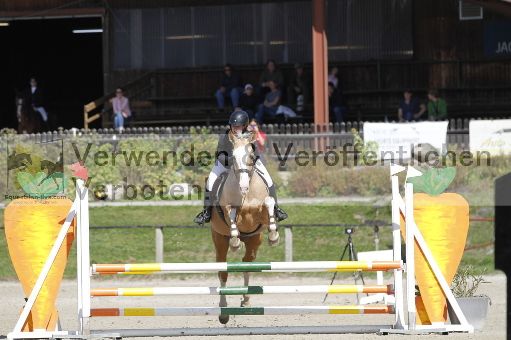 _MG_1881 | equestrian-live-com