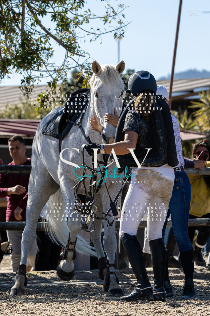 IMG_0936 | s-jay-photography - Realisiert mit Pictrs.com