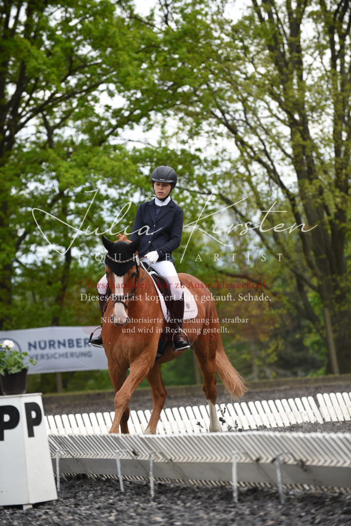 20230513_JK-Röhrsdorf-16-156 | Pferde- und Turnierfotografie in Westsachsen. Pferdeportraits, Auftragszeichnungen und intuitive Kunst.