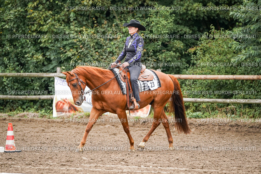 DSC03675 | Pferdegrafie