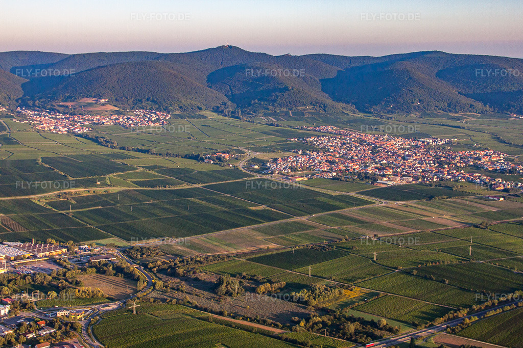 Luftbild: Ortsansicht von Südosten in Maikammer im Bundesland Rheinland-Pfalz in Deutschland. Foto: IMG_44339.jpg vom 20.08.2011 durch Werner Riehm/FLY-FOTO.de