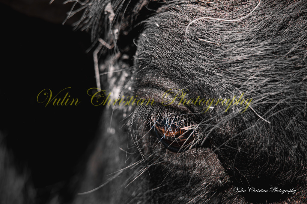 PH 8 | Christian Vulin  - Realisiert mit Pictrs.com