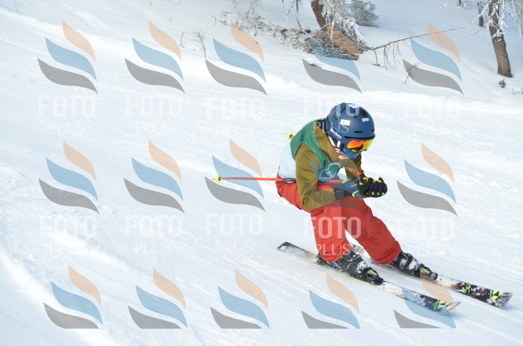 D8821 | holidayphoto