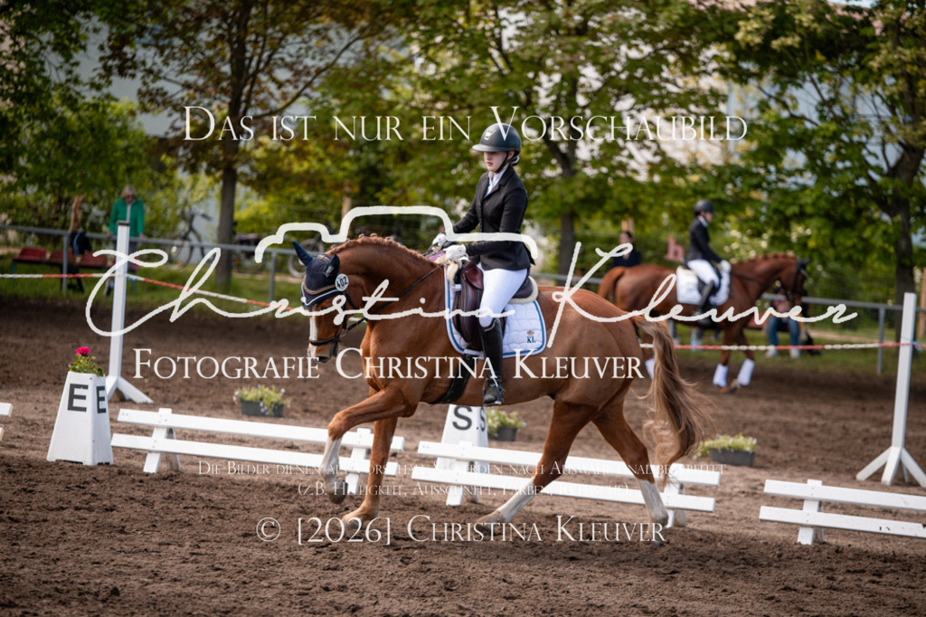 DSC_3541 | Christina-Kleuver