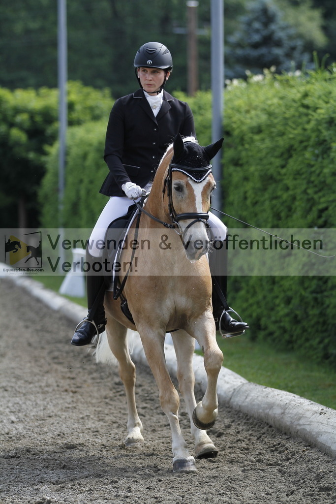_MG_9780 | equestrian-live-com