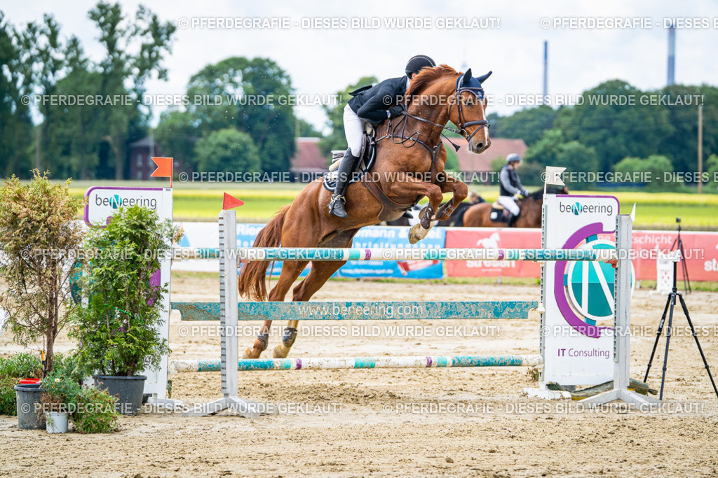 DSC04875 | Pferdegrafie