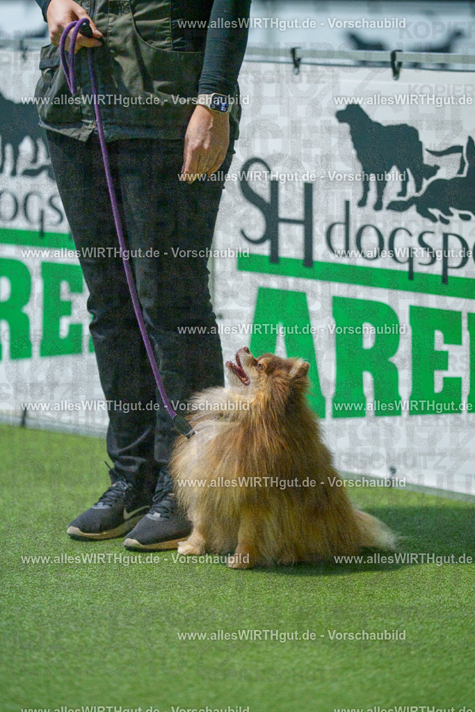 7R506772 | Professionelle Tierfotografie in Mönchengladbach von Daniel Wirth (allesWIRTHgut). Liebevolle & natürliche Bilder von Hunden & Katzen für unvergessliche Erinnerungen.