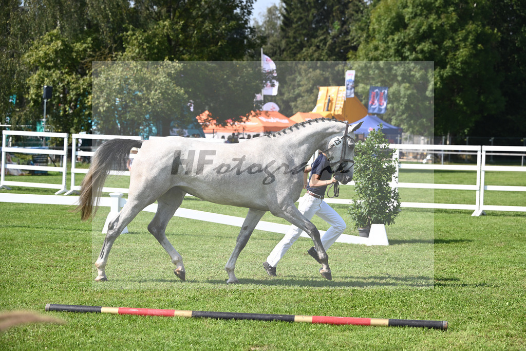 Kat-Nr. 23 nn v. Vingino_Schreder_34240533 | hf-fotografie - Realisiert mit Pictrs.com