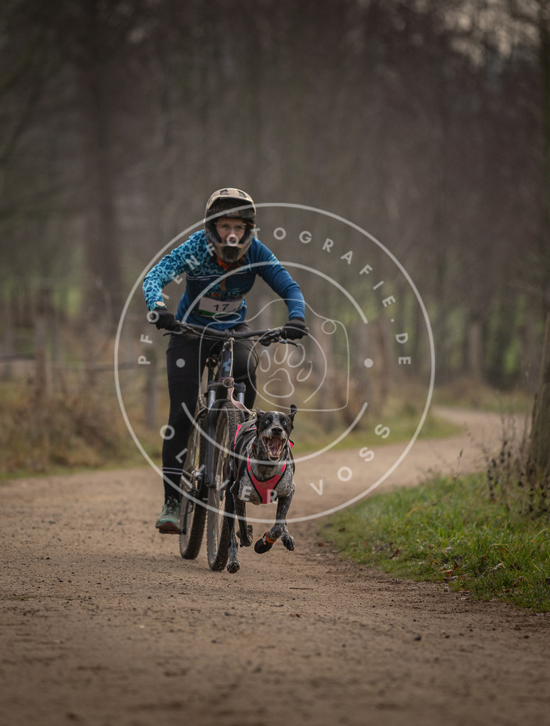 Pfotenfotografie_DV3A1884 | Hundefotografie, Tierfotograf, Pfotenfotografie, Fotoshooting Hund, Hunde Portrait, Hundesport, Hundeportraits, Heideshooting, Hunde, Sportfotograf, Hundefotograf, Turnierhundsport, THS,  - Realisiert mit Pictrs.com
