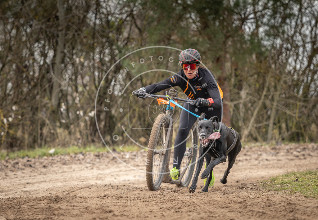 Pfotenfotografie_DV3A9172 | Hundefotografie, Tierfotograf, Pfotenfotografie, Fotoshooting Hund, Hunde Portrait, Hundesport, Hundeportraits, Heideshooting, Hunde, Sportfotograf, Hundefotograf, Turnierhundsport, THS,  - Realisiert mit Pictrs.com