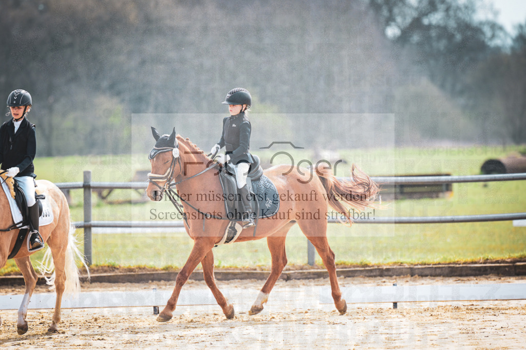 DOS_5170 | Entdecke hochwertige Reitturnierfotos von Foto Oger. Professionell, emotional und authentisch – jetzt Lieblingsmomente im Shop bestellen.Deutschlandweite Turnierfotografie. - Realisiert mit Pictrs.com