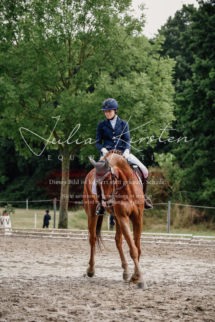 DSC_9899 | Pferde- und Turnierfotografie in Westsachsen. Pferdeportraits, Auftragszeichnungen und intuitive Kunst.