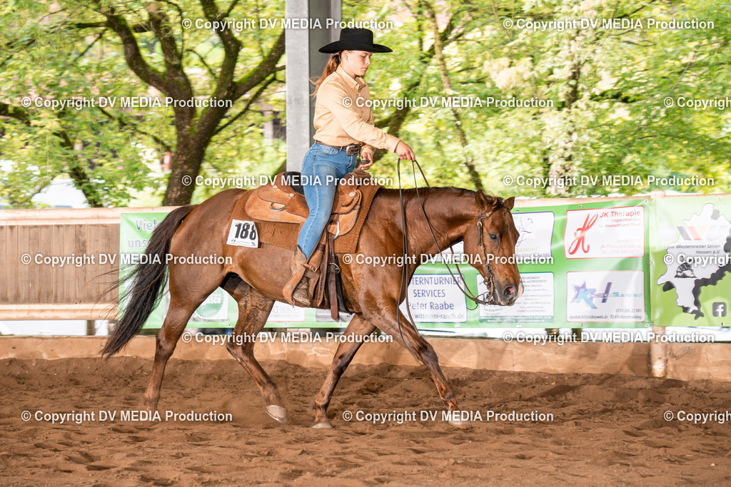 Erbach Tag 4-700 | dv-media-shop - Realisiert mit Pictrs.com