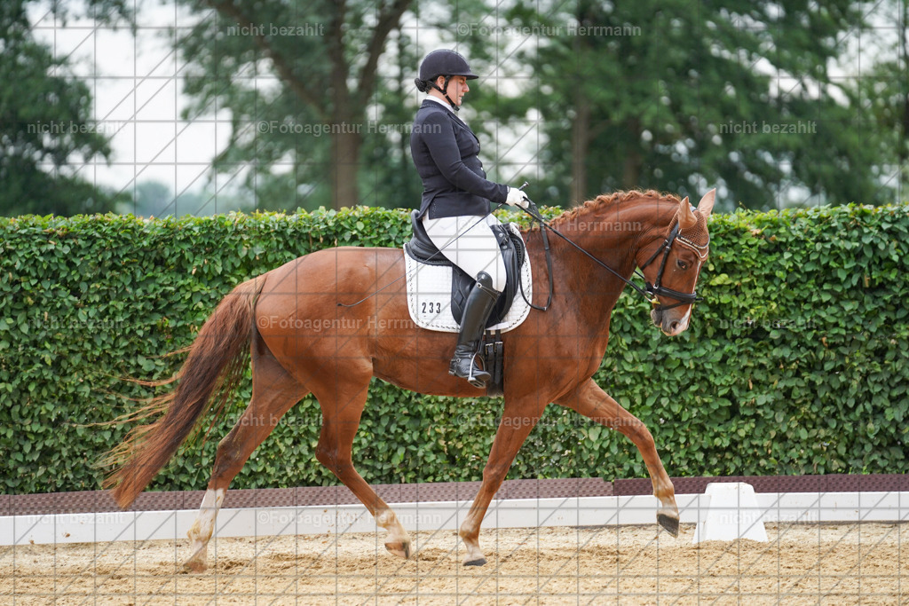 20240630-FAH00794 | Turnierbilder Schwabmünchen, Dressurbilder, Springreitturnier, Reitsportbilder, Turnierfotografen Bayern, Turnierfotograf