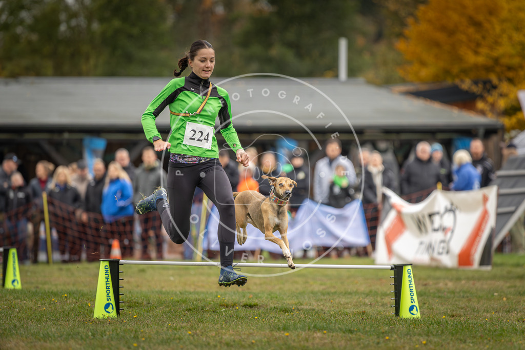 Pfotenfotografie_DV3A3143 | Hundefotografie, Tierfotograf, Pfotenfotografie, Fotoshooting Hund, Hunde Portrait, Hundesport, Hundeportraits, Heideshooting, Hunde, Sportfotograf, Hundefotograf, Turnierhundsport, THS,  - Realisiert mit Pictrs.com