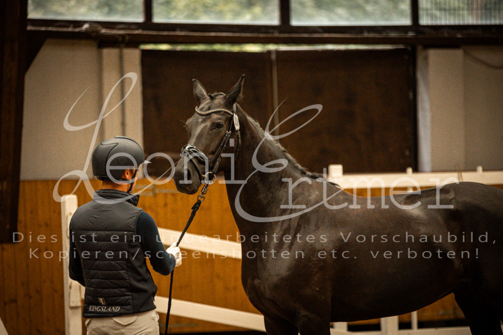 1FS_L00099 | Leoni Ertmer Photography - Realisiert mit Pictrs.com