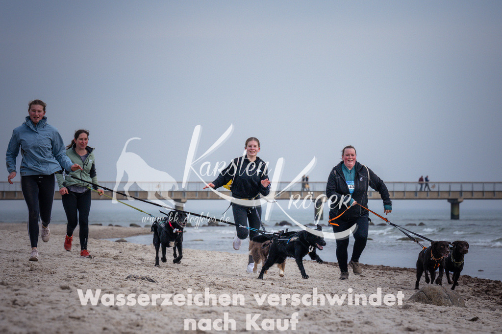 1302_ZZ97930 | kk-dogfotos