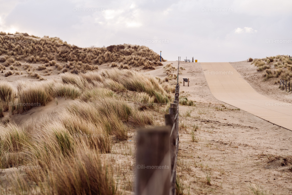 Dünenweg 2 | Ein weiter Dünenweg im Querformat führt durch sanften Sand, gesäumt von einem schlichten Zaun, Richtung Meer. Der leichte Wind belebt die Landschaft – ein harmonisches Fotokunstwerk für natürliche und offene Raumgestaltungen. - Realisiert mit Pictrs.com