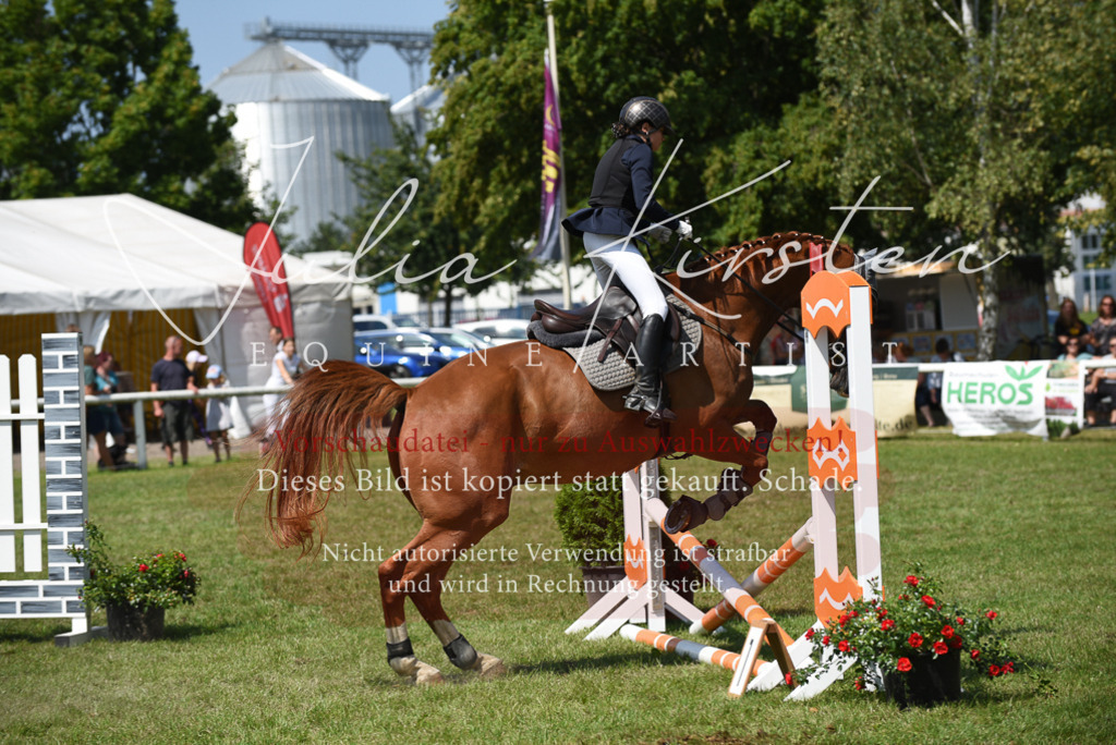 DSC_0082 | Pferde- und Turnierfotografie in Westsachsen. Pferdeportraits, Auftragszeichnungen und intuitive Kunst.