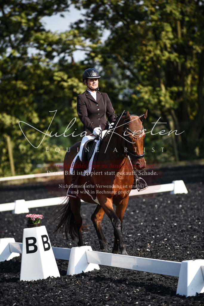 DSC_3234 | Pferde- und Turnierfotografie in Westsachsen. Pferdeportraits, Auftragszeichnungen und intuitive Kunst.
