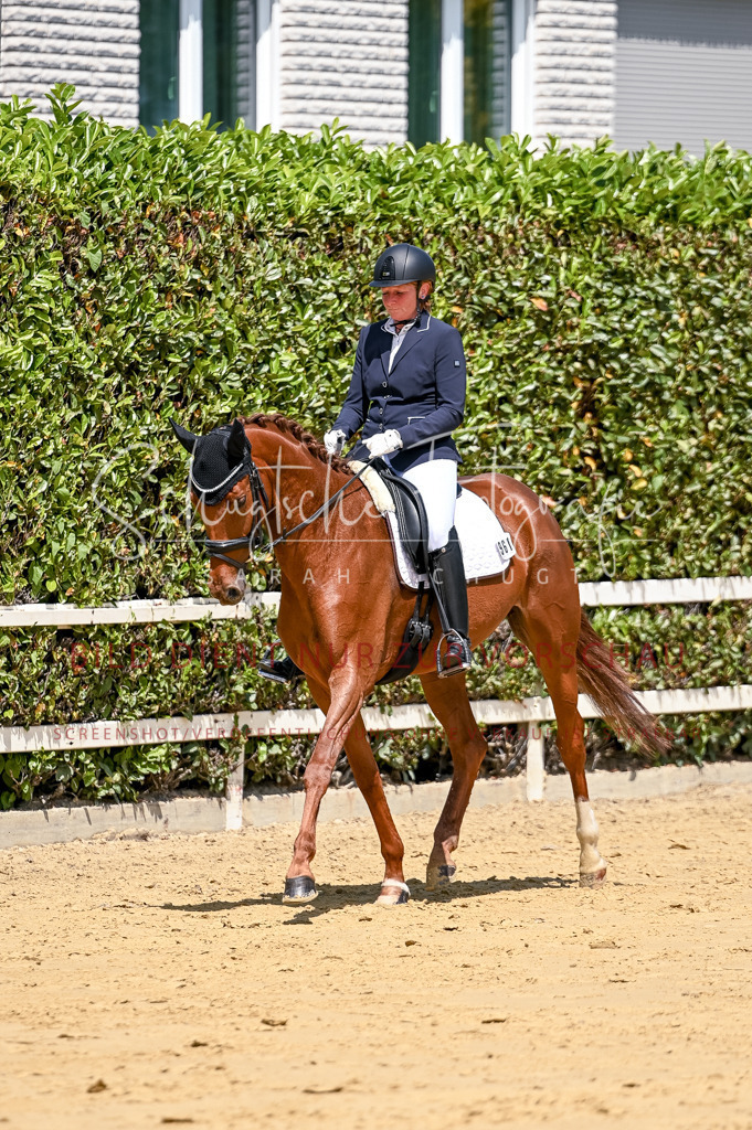 Schugtsche-Aluta25-49.Dressurpferdeprf.A-78 | Schugtsche Fotografie - Realisiert mit Pictrs.com