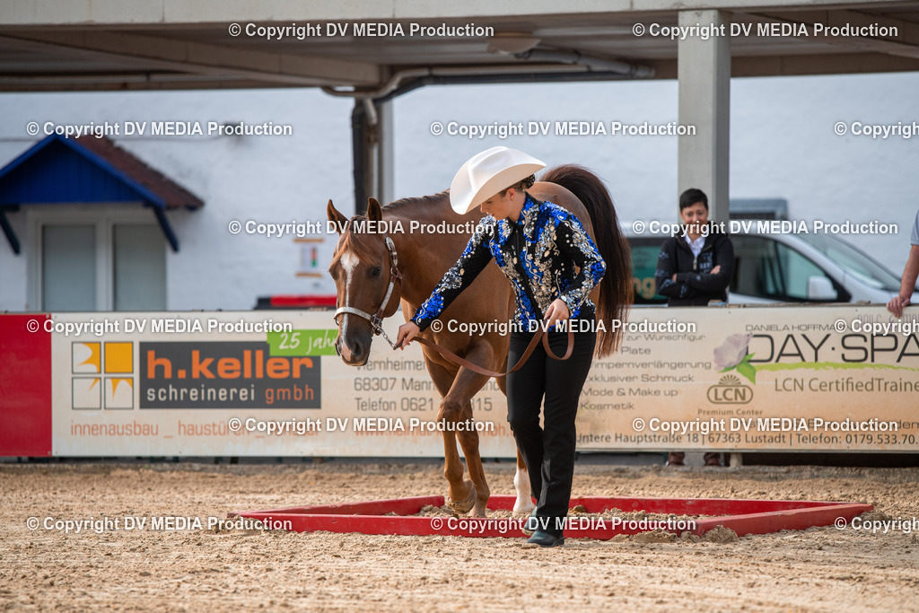 EWP_5578 | dv-media-shop - Realisiert mit Pictrs.com