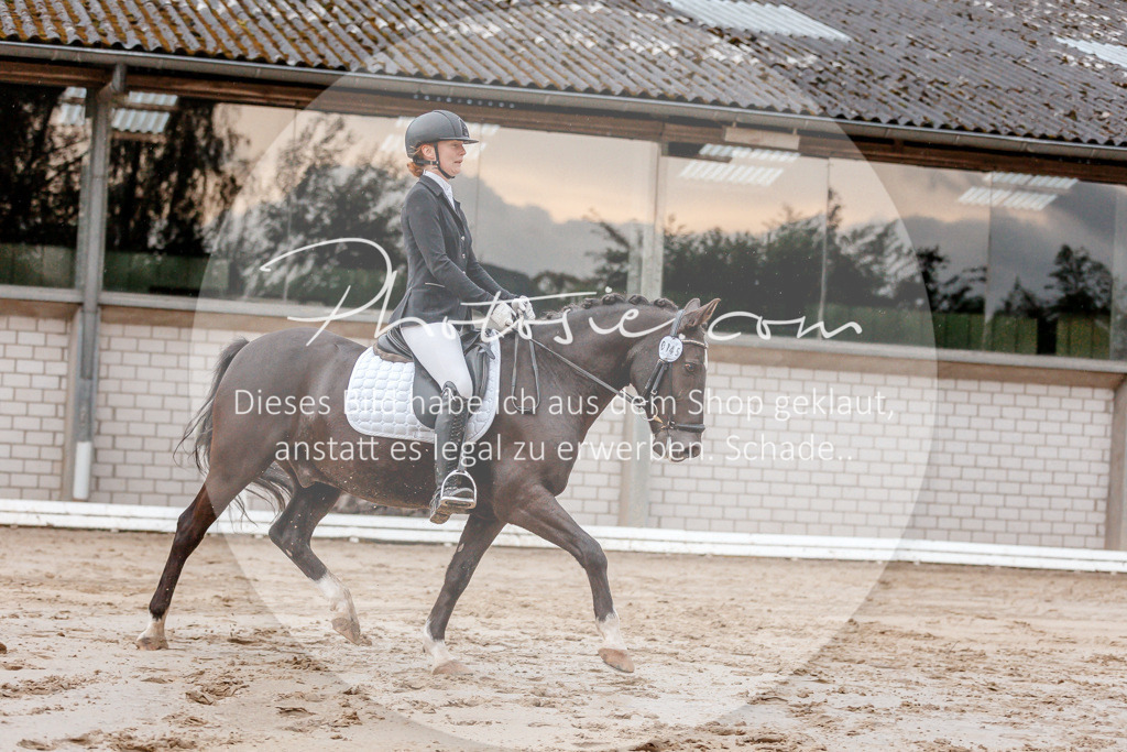 3I6A5446 | Stimmungsvolle Portraits und Reitsportfotografie im Ruhrgebiet und im Münsterland.

Pferdefotografie, Hundefotografie, Tierfotografie, Reportagen, Portraits von Tier und Mensch, Turnierfotografie in Bochum, Recklinghausen, Marl, Haltern am See, Dülmen.. - Realisiert mit Pictrs.com