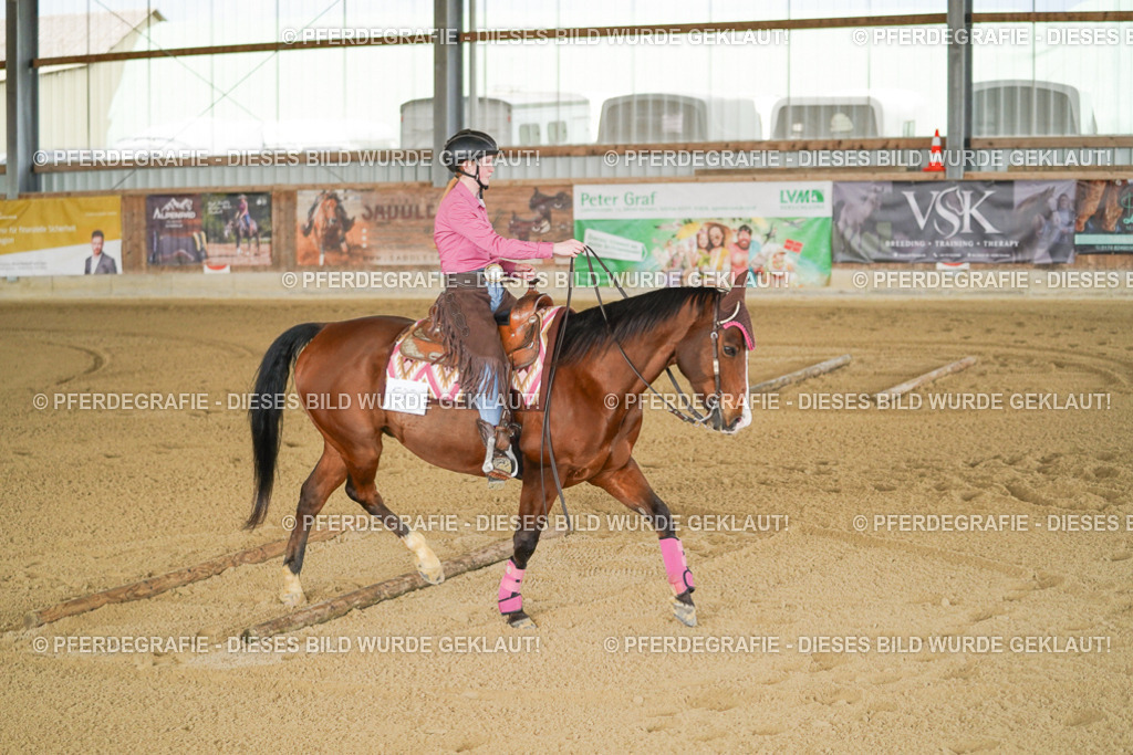 DSC05916 | Pferdegrafie