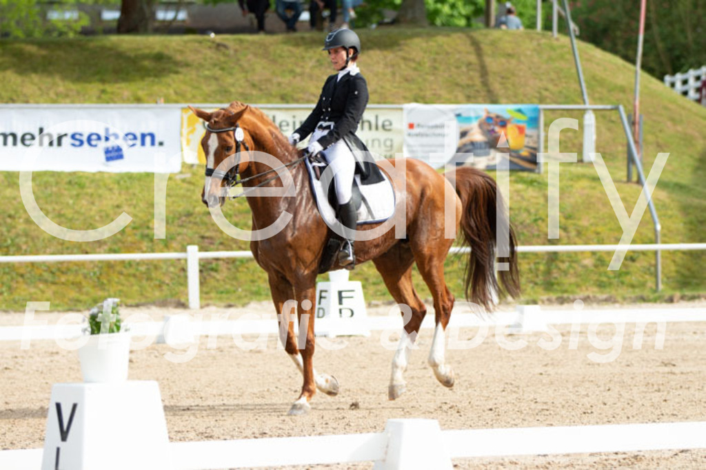 IMG_8405 | Creatify Fotografie