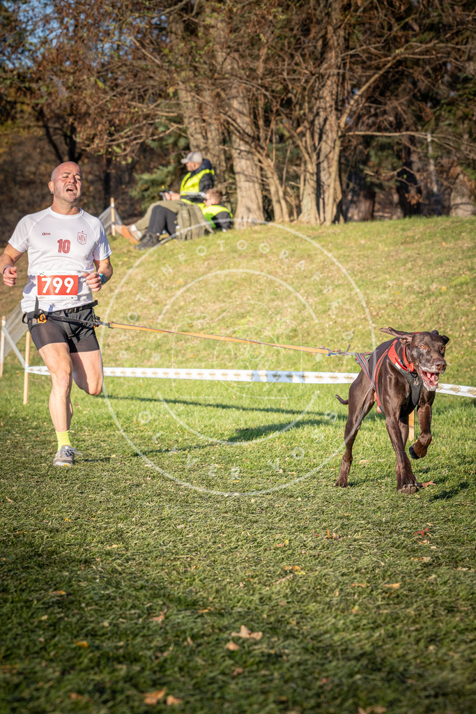 CaniXpix_0L8A0328 | Hundefotografie, Tierfotograf, Pfotenfotografie, Fotoshooting Hund, Hunde Portrait, Hundesport, Hundeportraits, Heideshooting, Hunde, Sportfotograf, Hundefotograf, Turnierhundsport, THS,  - Realisiert mit Pictrs.com