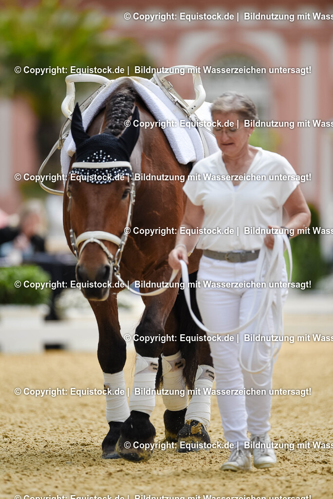 20250608_CVI-Masterclass_0478 | Foto: Thomas Hartig