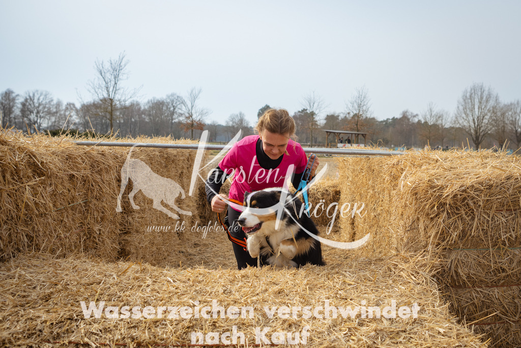 1103_ZZ91916 | kk-dogfotos