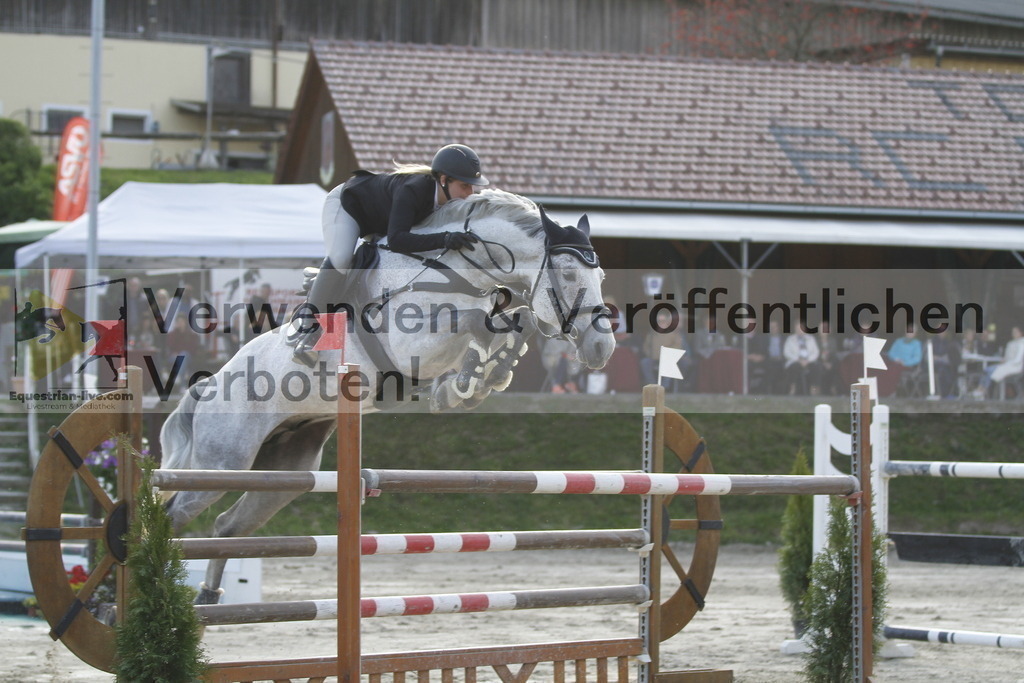 _MG_1361 | equestrian-live-com