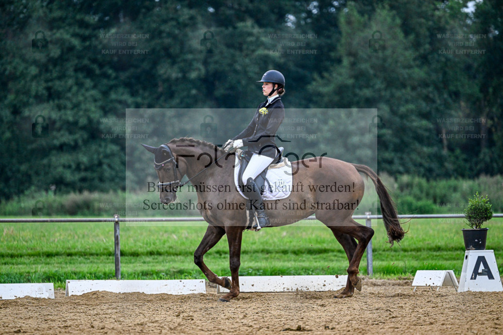 Reitturnier Hasbergen | Entdecke hochwertige Reitturnierfotos von Foto Oger. Professionell, emotional und authentisch – jetzt Lieblingsmomente im Shop bestellen. - Realisiert mit Pictrs.com