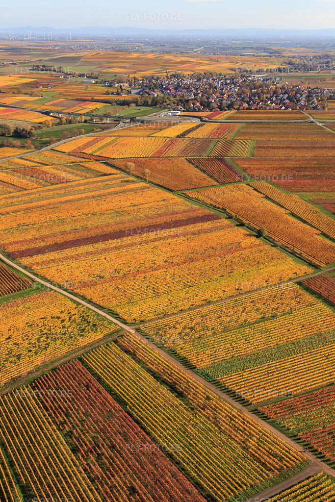 Luftbild: Ortsansicht von Westen hinter herbstlich gefärbten Weinbergen im Ortsteil Jerusalemsberg in Kirchheim im Bundesland Rheinland-Pfalz in Deutschland. Foto: IMG_123622.jpg vom 31.10.2020 durch Werner Riehm/FLY-FOTO.de