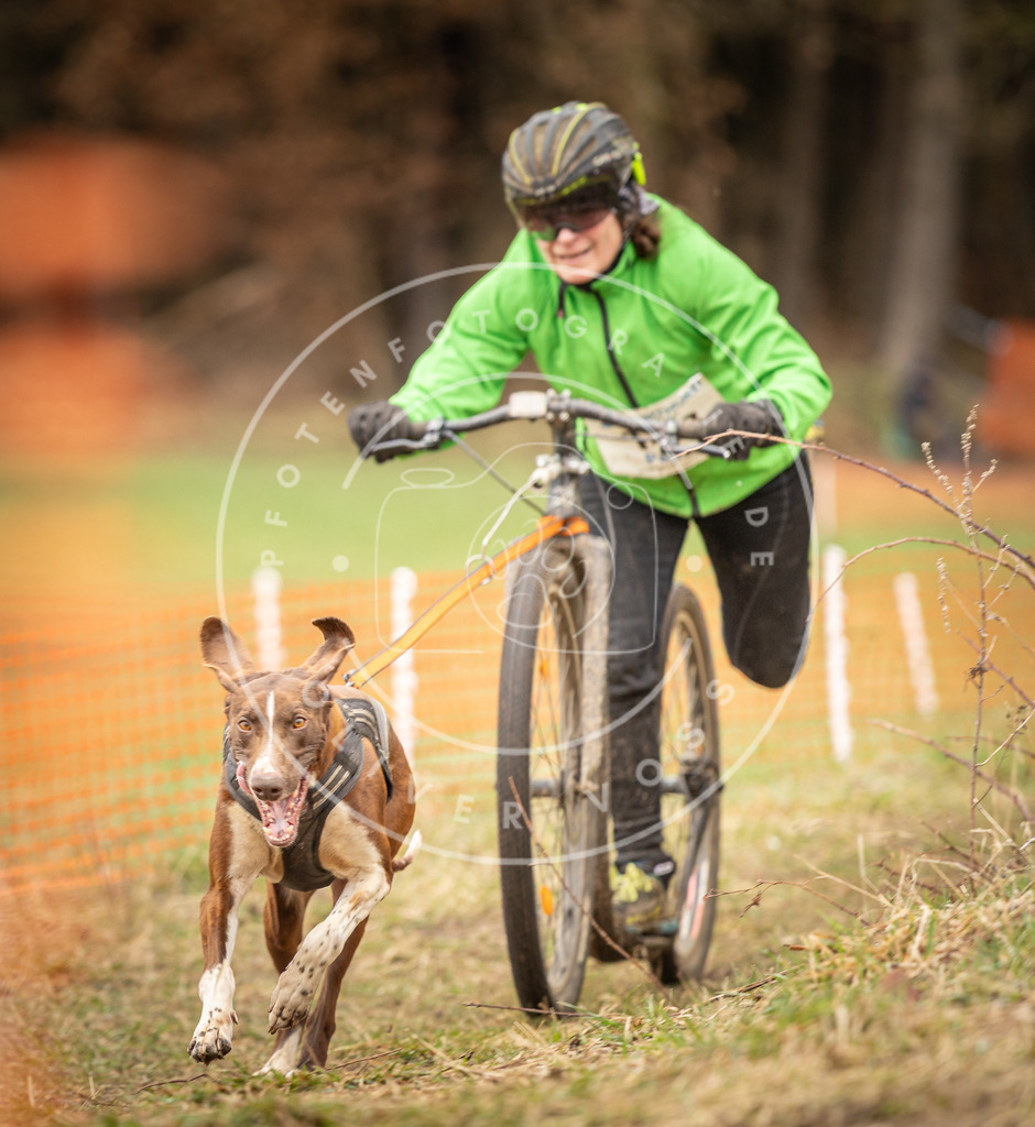 DV3A1589 | Hundefotografie, Tierfotograf, Pfotenfotografie, Fotoshooting Hund, Hunde Portrait, Hundesport, Hundeportraits, Heideshooting, Hunde, Sportfotograf, Hundefotograf, Turnierhundsport, THS,  - Realisiert mit Pictrs.com