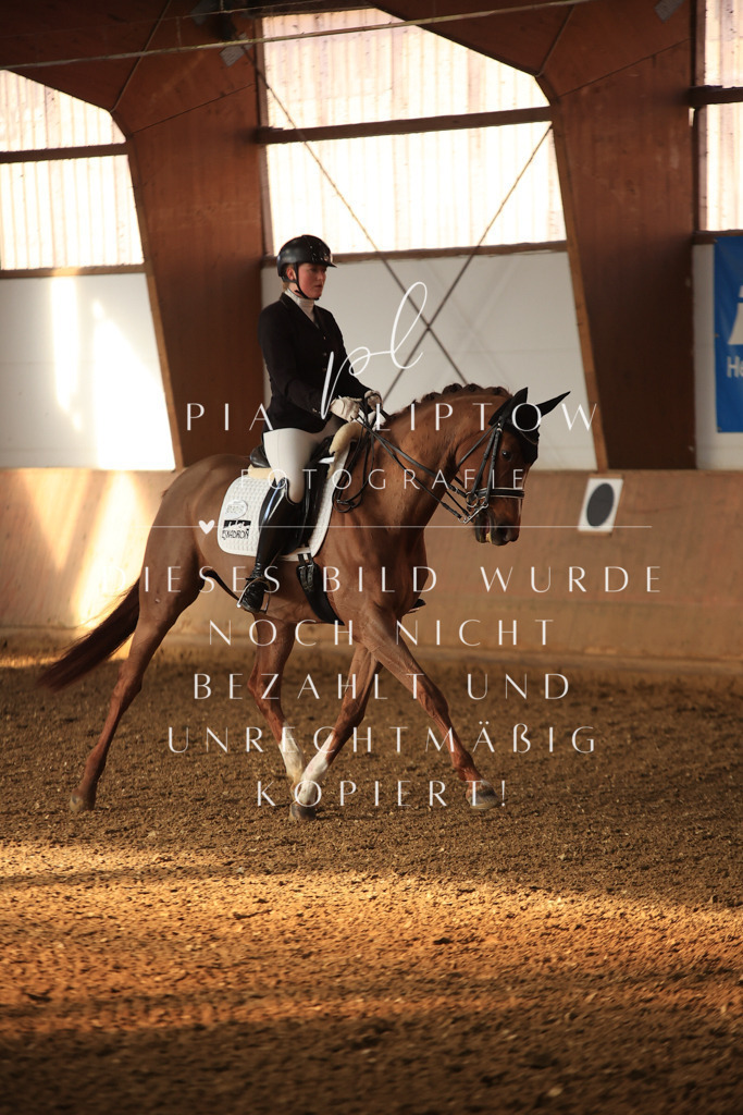 IMGT0400 | pl-fotografie