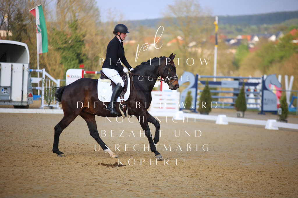 IMGT9033 | pl-fotografie