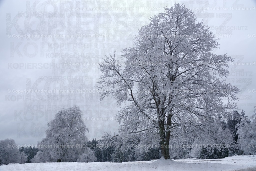 Winterlandschaft in Kladska | Winterlandschaft in Kladska - Realisiert mit Pictrs.com