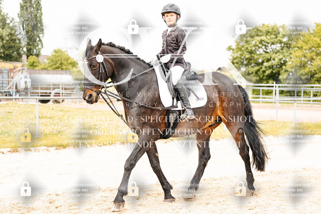 CK904206 | Turnierfotografie Pferdefotografie Trier Rheinland-Pfalz Pferdesport Reitsport Tierfotografie Sportfotografie Pferdevideo Pferdevideografie Equestrianvideography equestrianphotography  - Realisiert mit Pictrs.com