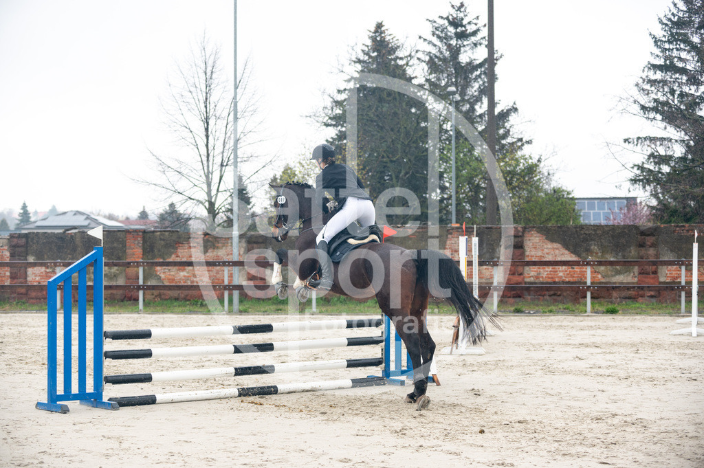 DSC_8977 | sattelsport - Realisiert mit Pictrs.com